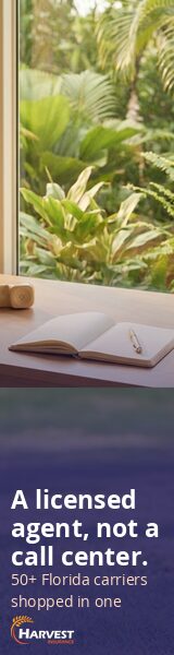 agent-desk d-160x600