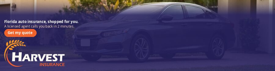 auto d-970x250