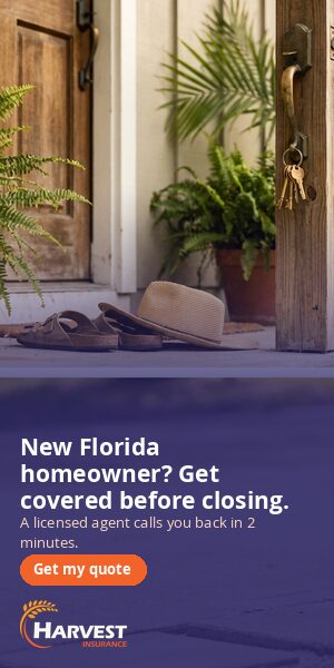 homeowner d-300x600