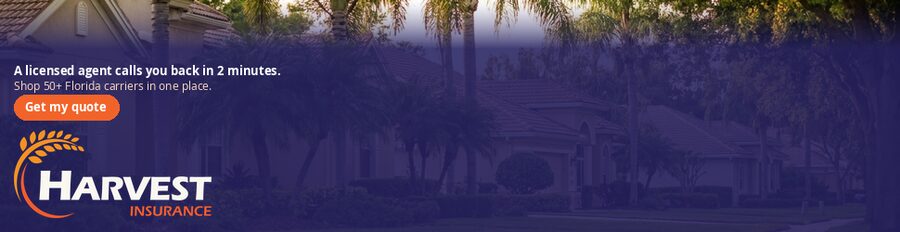 neighborhood d-970x250