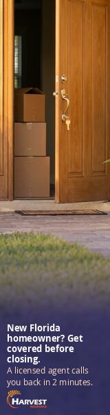 new-homeowner d-160x600