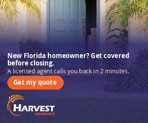 new-homeowner d-300x250
