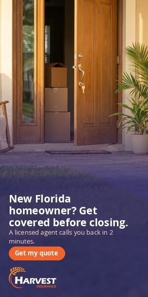 new-homeowner d-300x600