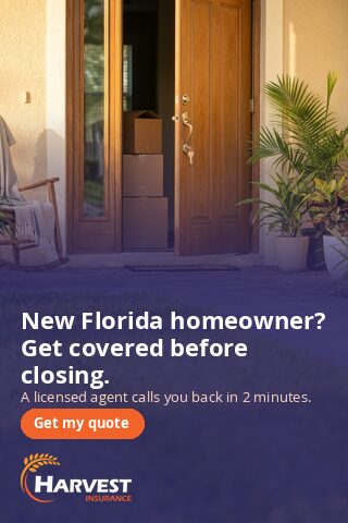 new-homeowner d-320x480