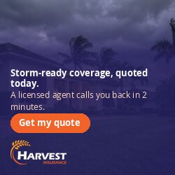 storm d-250x250