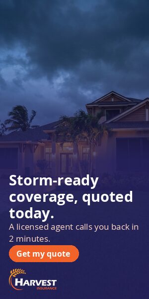 storm d-300x600