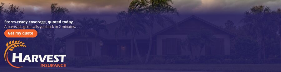 storm d-970x250