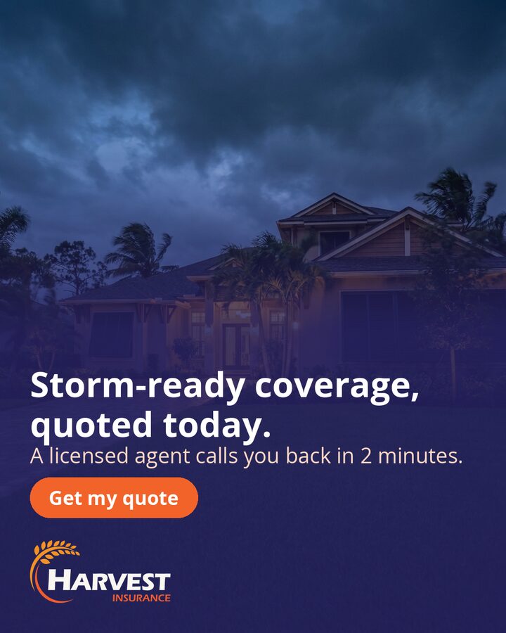 storm meta-4x5-1080x1350
