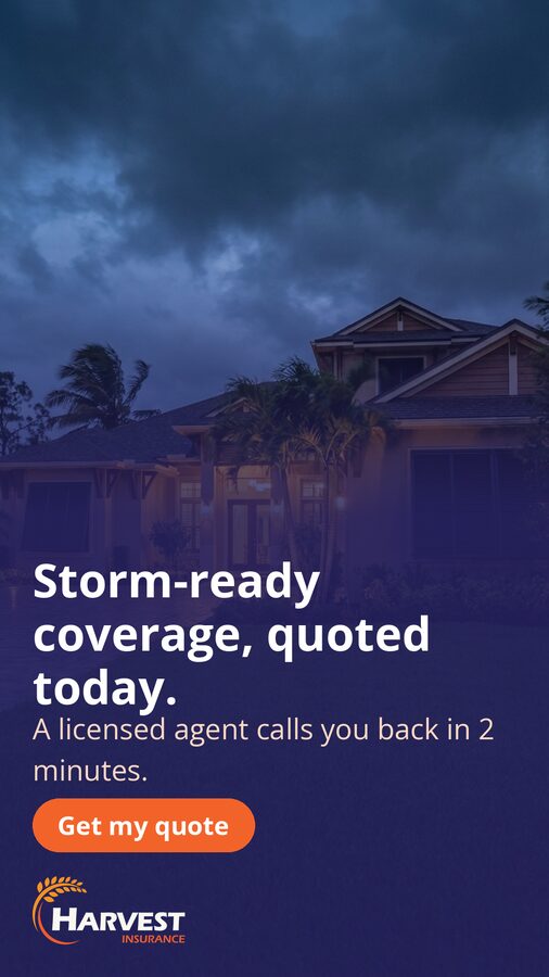 storm meta-9x16-1080x1920